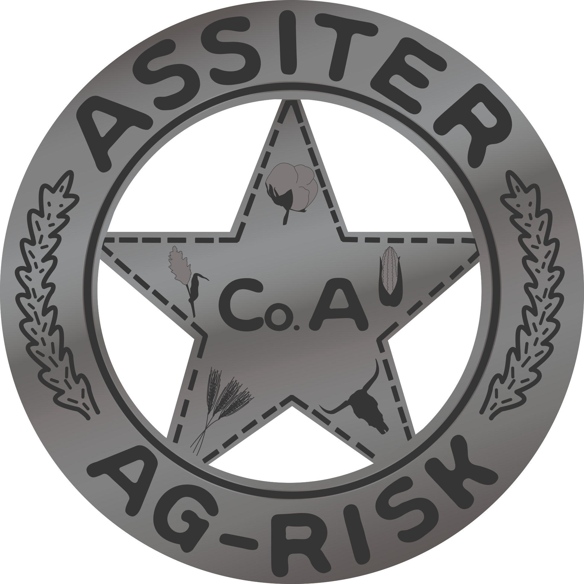 Assiter AG Risk
